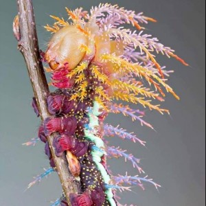 Imagen de Paula Navarrete